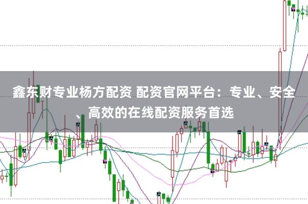 鑫东财专业杨方配资 配资官网平台：专业、安全、高效的在线配资服务首选