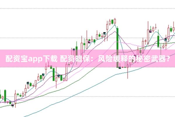 配资宝app下载 配资暗保：风险缓释的秘密武器？