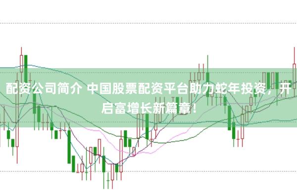 配资公司简介 中国股票配资平台助力蛇年投资，开启富增长新篇章！
