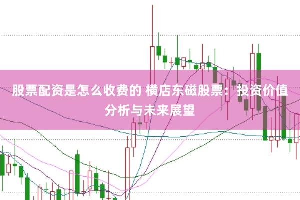 股票配资是怎么收费的 横店东磁股票：投资价值分析与未来展望