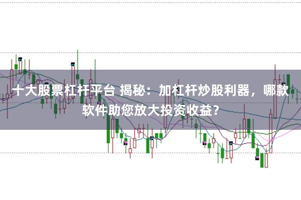 十大股票杠杆平台 揭秘：加杠杆炒股利器，哪款软件助您放大投资收益？
