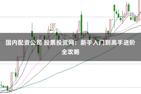 国内配资公司 股票投资网：新手入门到高手进阶全攻略