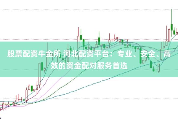股票配资牛金所 河北配资平台：专业、安全、高效的资金配对服务首选