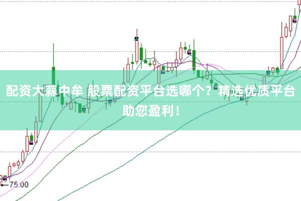 配资大蒜中牟 股票配资平台选哪个？精选优质平台助您盈利！