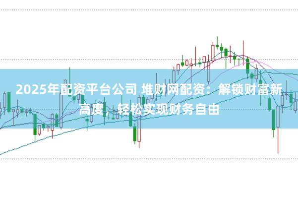 2025年配资平台公司 堆财网配资：解锁财富新高度，轻松实现财务自由
